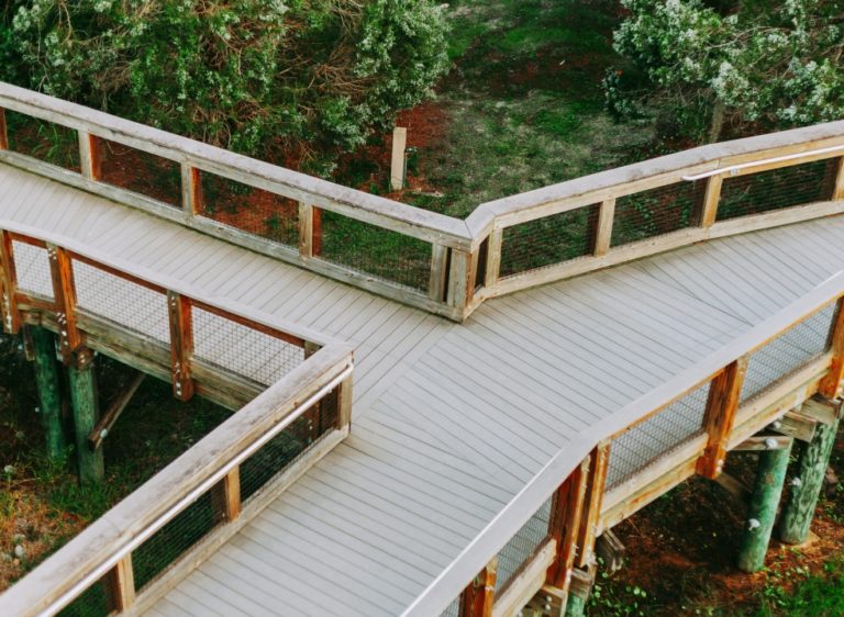 Módulo 2 – Primeros pasos, indagación y decisión.